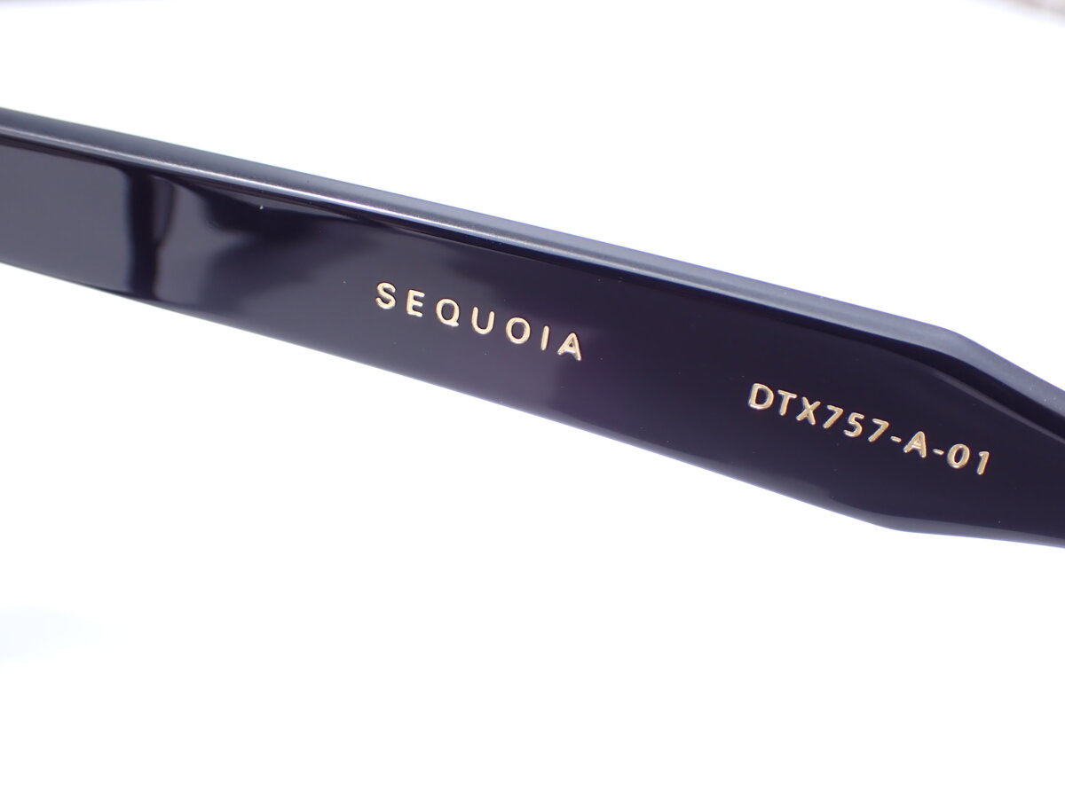 オーバーサイズ感を感じられる人気セルフレーム|DITA(ディータ) SEQUOIA(セコイア)-DITA