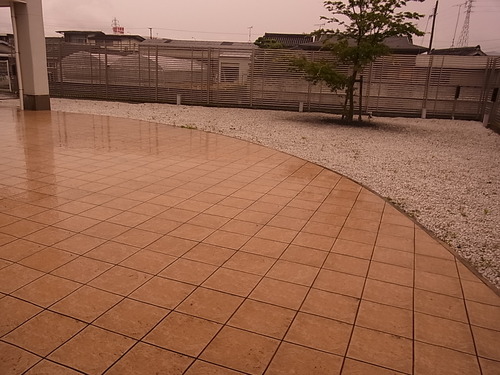 梅雨だってTALEX偏光レンズを その3-TALEX 