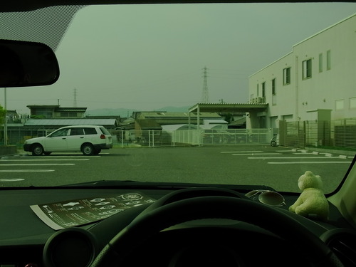 運転用にTALEX（タレックス）の偏光レンズを　その2-TALEX 