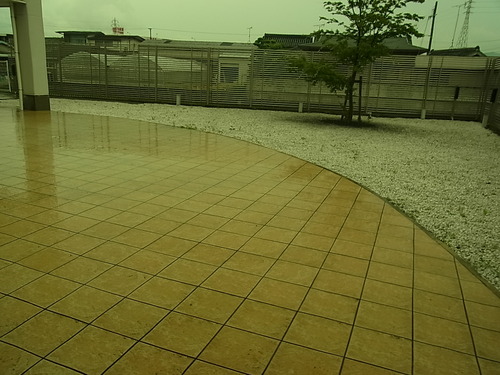 梅雨だってTALEX偏光レンズを その2-TALEX 