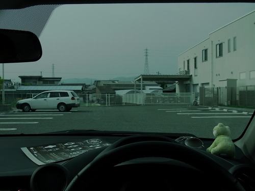 運転用にTALEX（タレックス）の偏光レンズを　その1-TALEX 