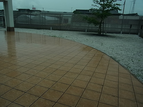 梅雨だってTALEX偏光レンズを その1-TALEX 