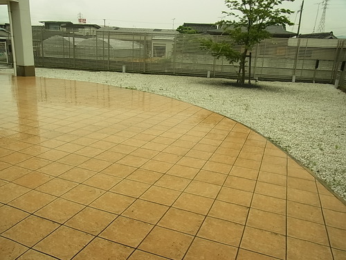 梅雨だってTALEX偏光レンズを その4-TALEX 