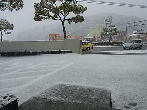 TALEX（タレックス）偏光レンズ　雪の日偏-TALEX 