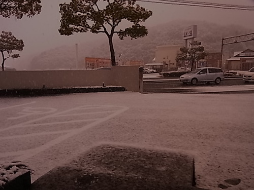 TALEX（タレックス）偏光レンズ　雪の日偏-TALEX 