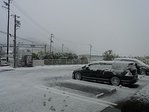 TALEX（タレックス）偏光レンズ　雪の日偏-TALEX 