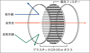 TALEX（タレックス）偏光レンズ　その1-TALEX 