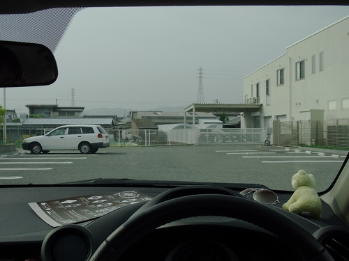 運転用にTALEX（タレックス）の偏光レンズを　その1-TALEX 