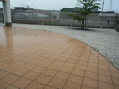 梅雨だってTALEX偏光レンズを その1-TALEX 