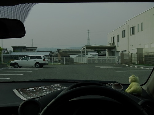 運転用にTALEX（タレックス）の偏光レンズを　その2-TALEX 