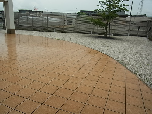 梅雨だってTALEX偏光レンズを その2-TALEX 