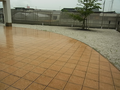 梅雨だってTALEX偏光レンズを その1-TALEX 