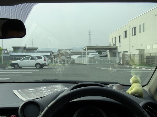 運転用にTALEX（タレックス）の偏光レンズを　その1-TALEX 