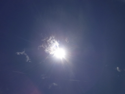 ちょっと真面目に紫外線の話でも・・・2-つぶやき 