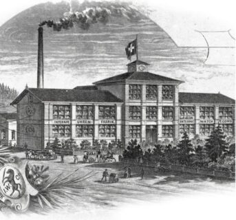 【IWC】IWCって何がいい？実際の魅力をまとめてみた‼