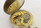 IWC　腕時計で環境保全に取り組むブランド 背景とは　「アクアタイマー ガラパゴスアイランド」をご紹介