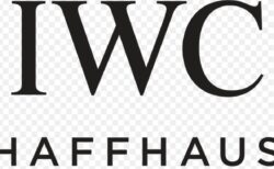 【oomiya京都店】銀幕のDNAを纏う。映画で愛されたIWCの名作、その「最新形」を徹底解説　シリーズ：1