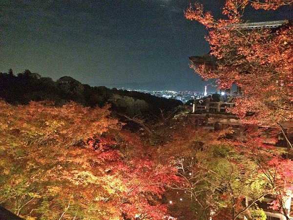 清水寺の紅葉。-スタッフつぶやき -991274f7-s
