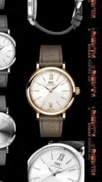 ガガミラノからは世界限定250本のモデル。 ｜ oomiya 京都店ブログ