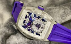 パープルを基調とした個性的なチャレンジ ジェットライナー３６？？～CVSTOS（クストス）～