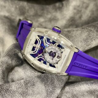 パープルを基調とした個性的なチャレンジ ジェットライナー３６？？～CVSTOS（クストス）～