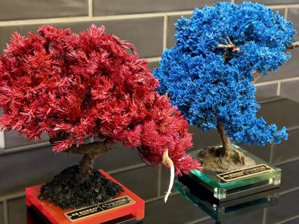 RE:BONSAI ？？～CVSTOS（クストス）～