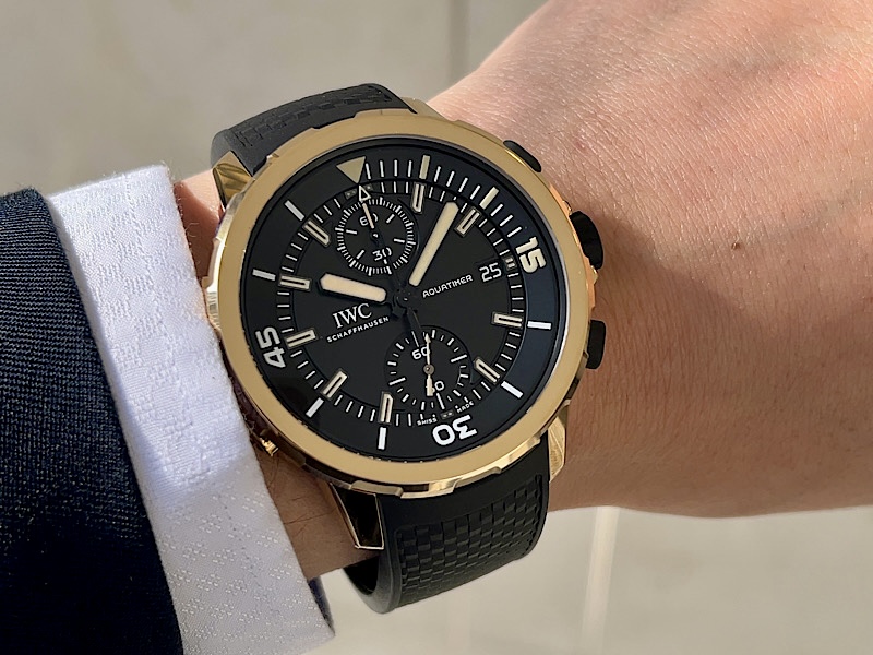 ”自分だけの経年変化”を楽しむ１本！アクアタイマー・クロノグラフ・エクスペディション・チャールズ・ダーウィン～IWC～ - IWC 
