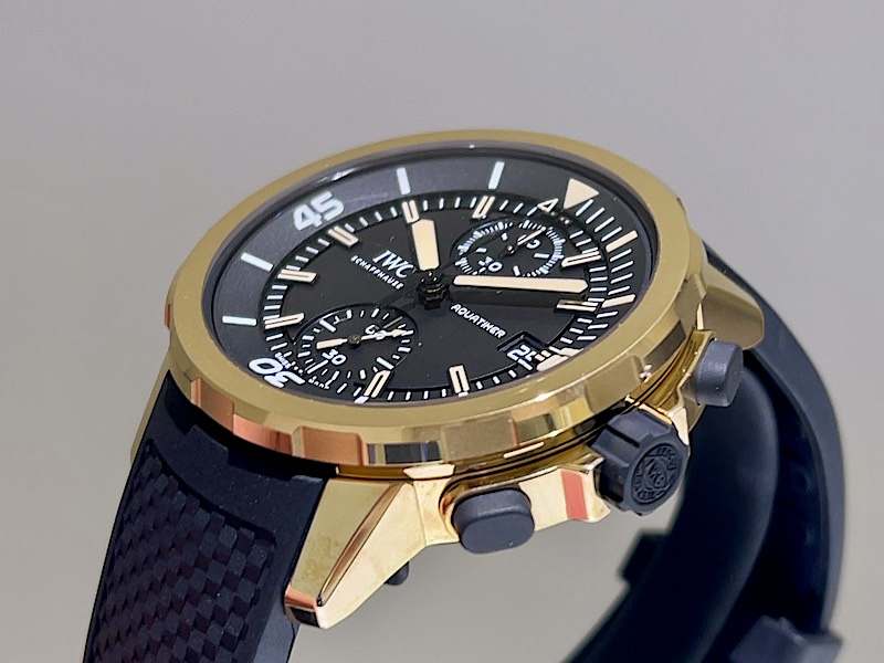 ”自分だけの経年変化”を楽しむ１本！アクアタイマー・クロノグラフ・エクスペディション・チャールズ・ダーウィン～IWC～ - IWC 