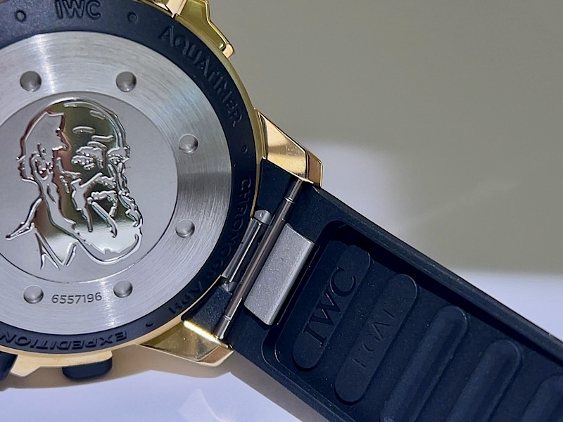 ”自分だけの経年変化”を楽しむ１本！アクアタイマー・クロノグラフ・エクスペディション・チャールズ・ダーウィン～IWC～ - IWC 