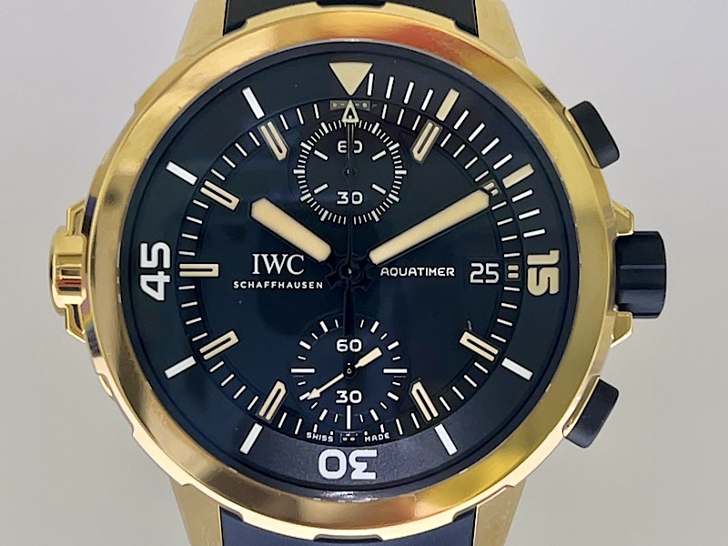 ”自分だけの経年変化”を楽しむ１本！アクアタイマー・クロノグラフ・エクスペディション・チャールズ・ダーウィン～IWC～ - IWC 
