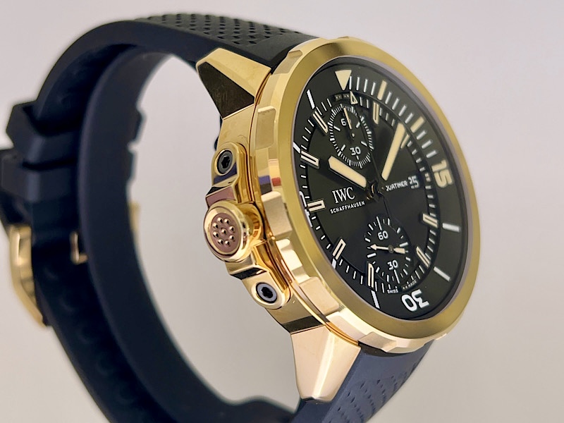 ”自分だけの経年変化”を楽しむ１本！アクアタイマー・クロノグラフ・エクスペディション・チャールズ・ダーウィン～IWC～ - IWC 