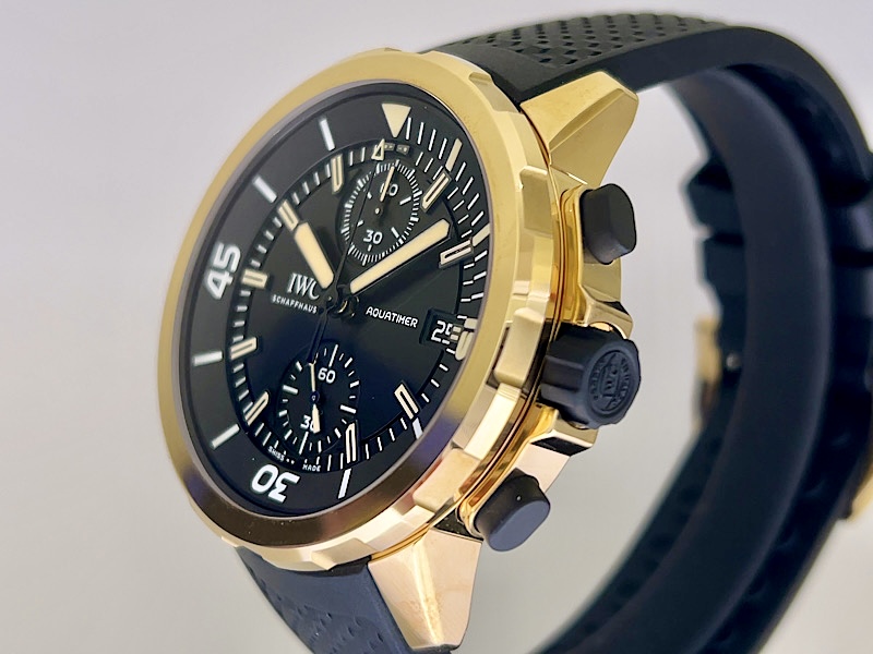 ”自分だけの経年変化”を楽しむ１本！アクアタイマー・クロノグラフ・エクスペディション・チャールズ・ダーウィン～IWC～ - IWC 
