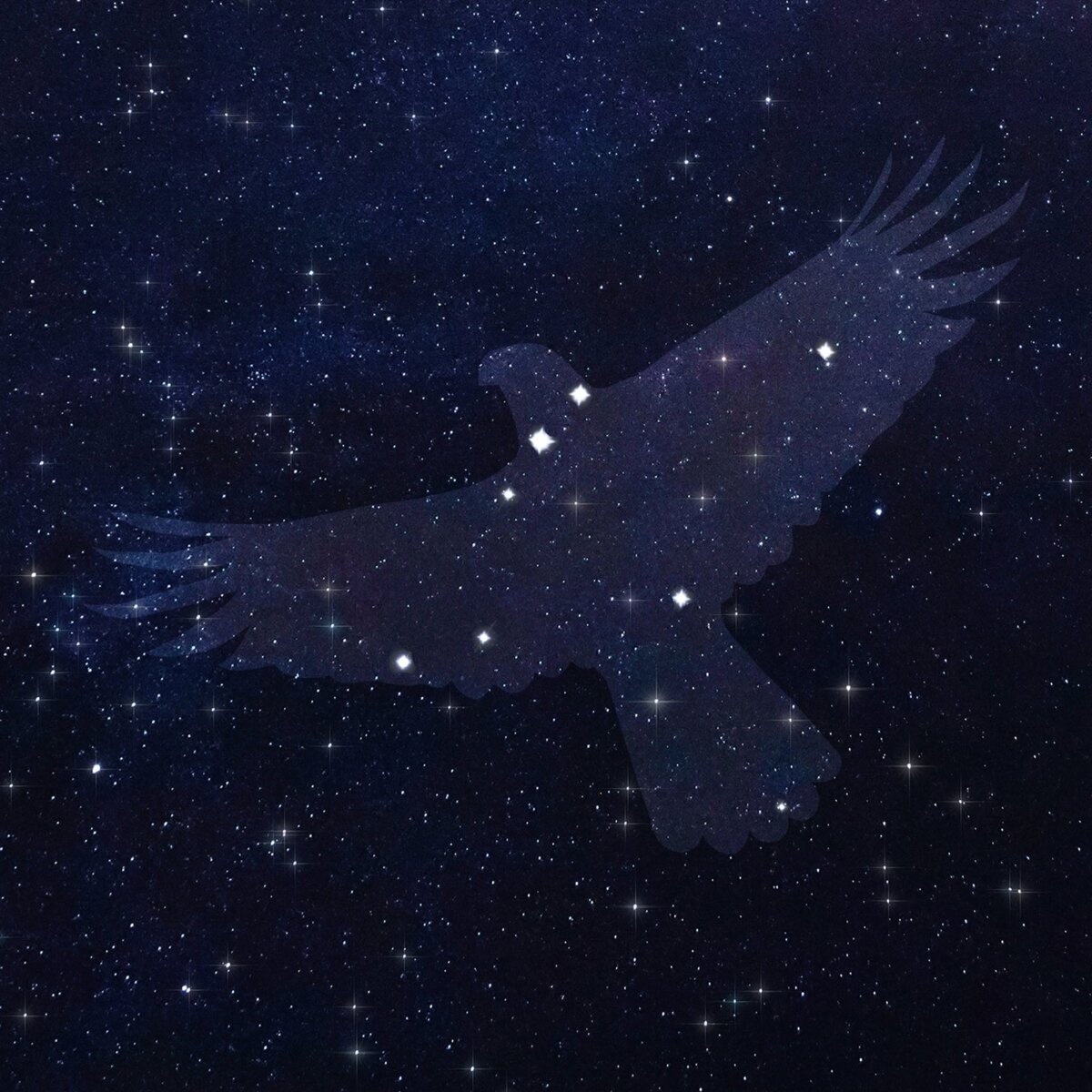 【ベル＆ロス】新作！BR-05 36MM BLUE DIAMOND EAGLE DIAMONDS  星座を描くダイヤモンドが、さらなる輝きをまとって登場！！☆ - Bell＆Ross 