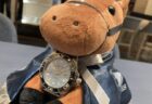 【第21回】新人スタッフが本気で選んだ時計『Grand Seiko SBGE253』GMT搭載ジルコニア・セラミックス採用モデル