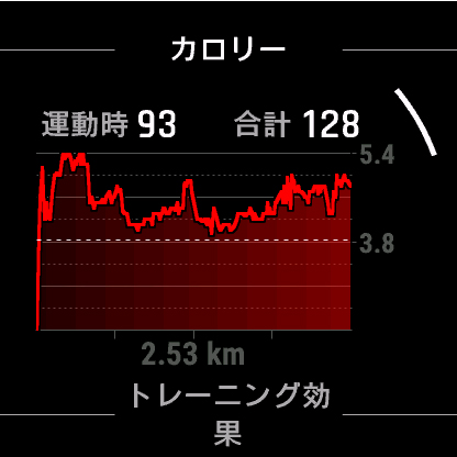 画像 これ1本で全部できる!Garmin Epix Gen 2が叶える最強スマートライフ - GARMIN